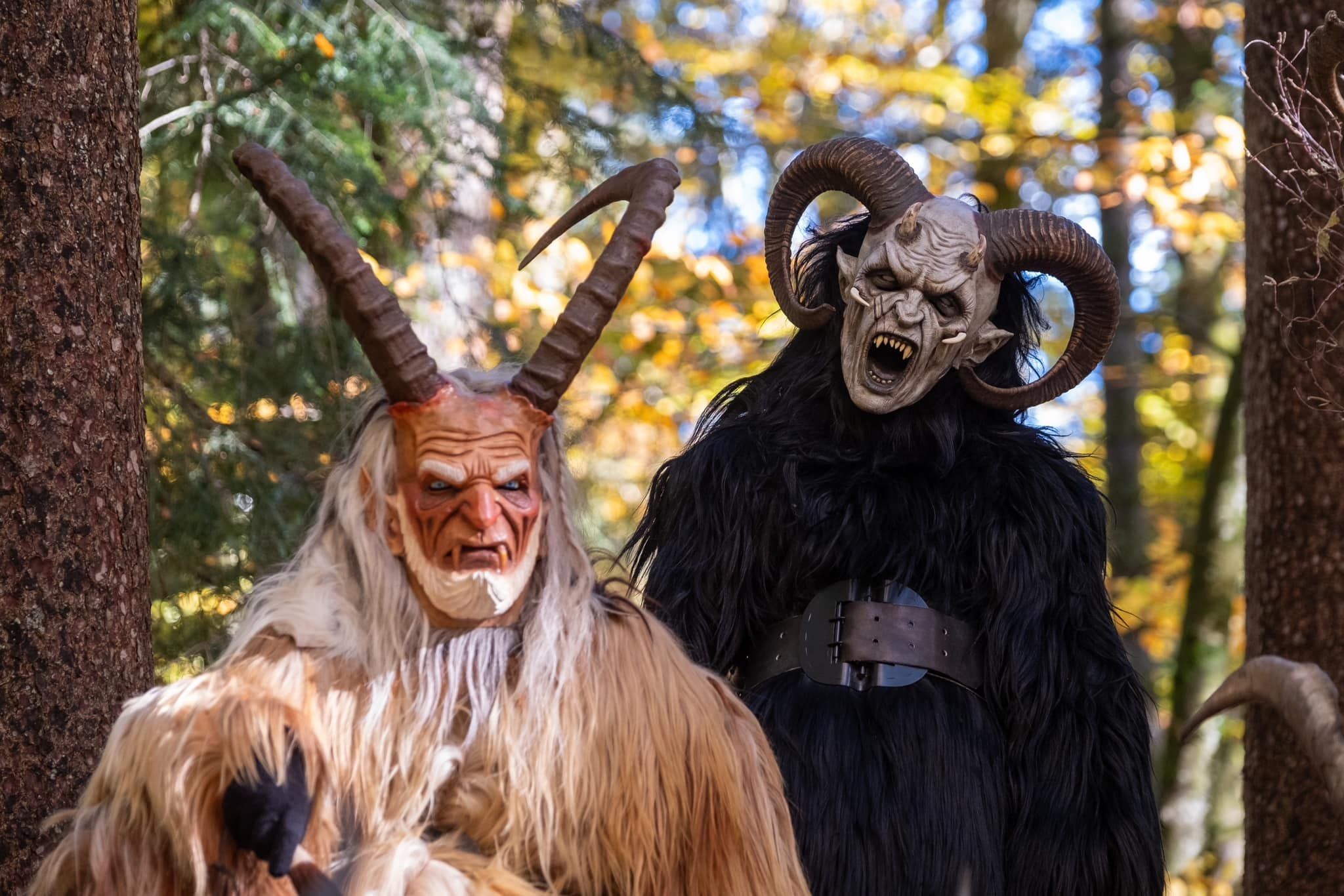 © Dobe Boch Deifen 4