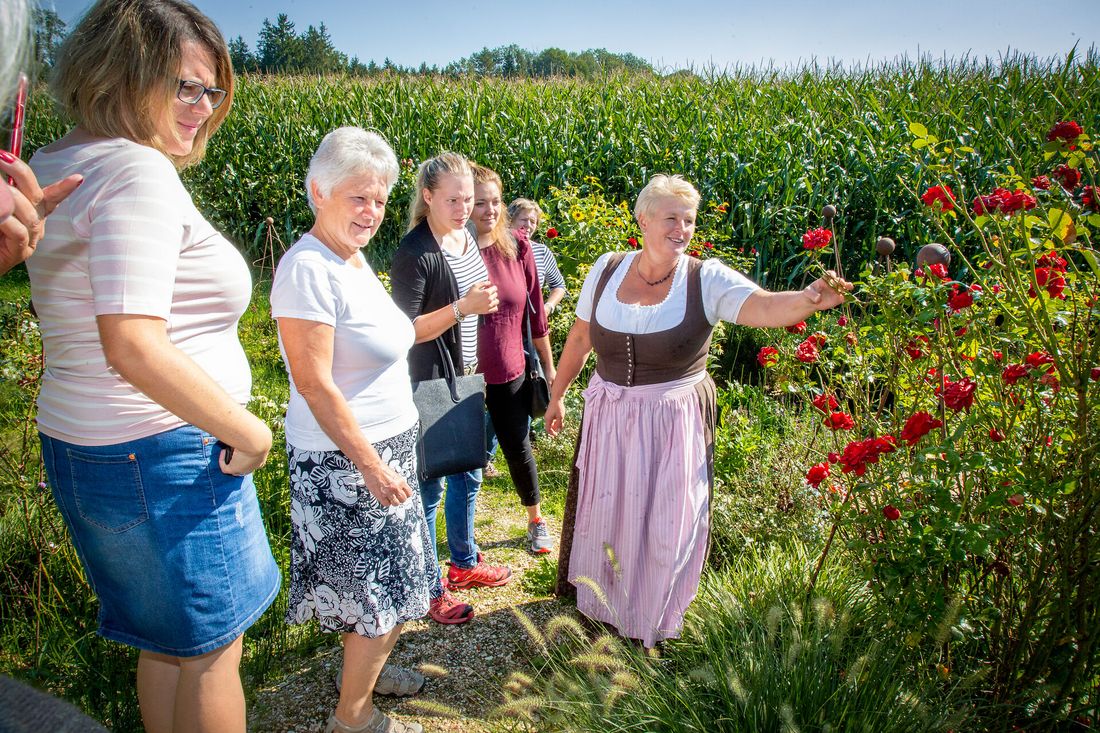 Sommernacht in Blütenpracht