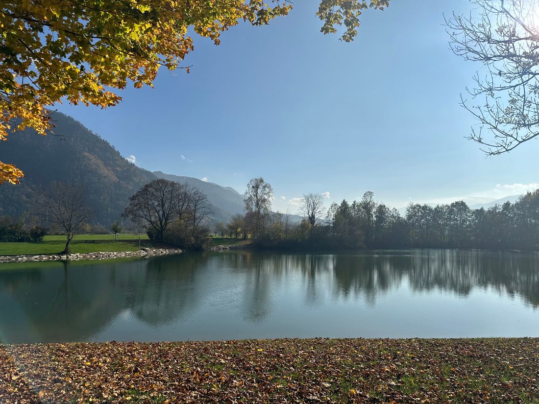 Reifinger See Herbst