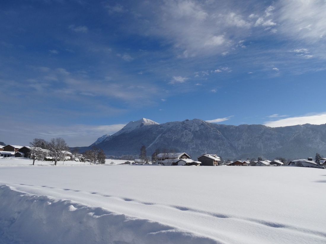in winter