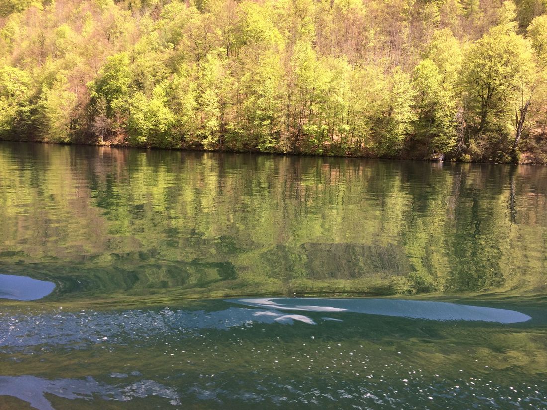 Tüttensee