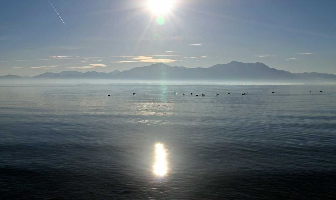 Chiemsee