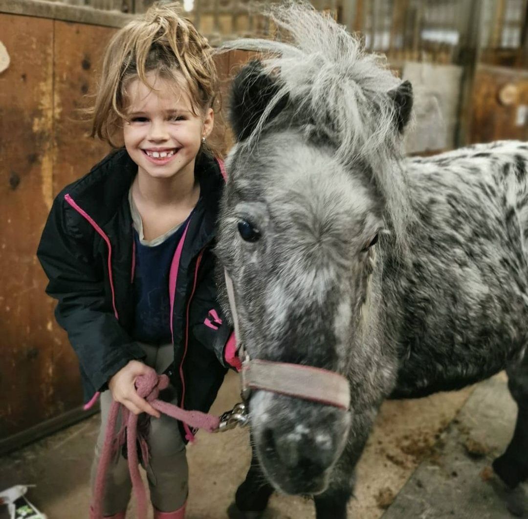 Ponys