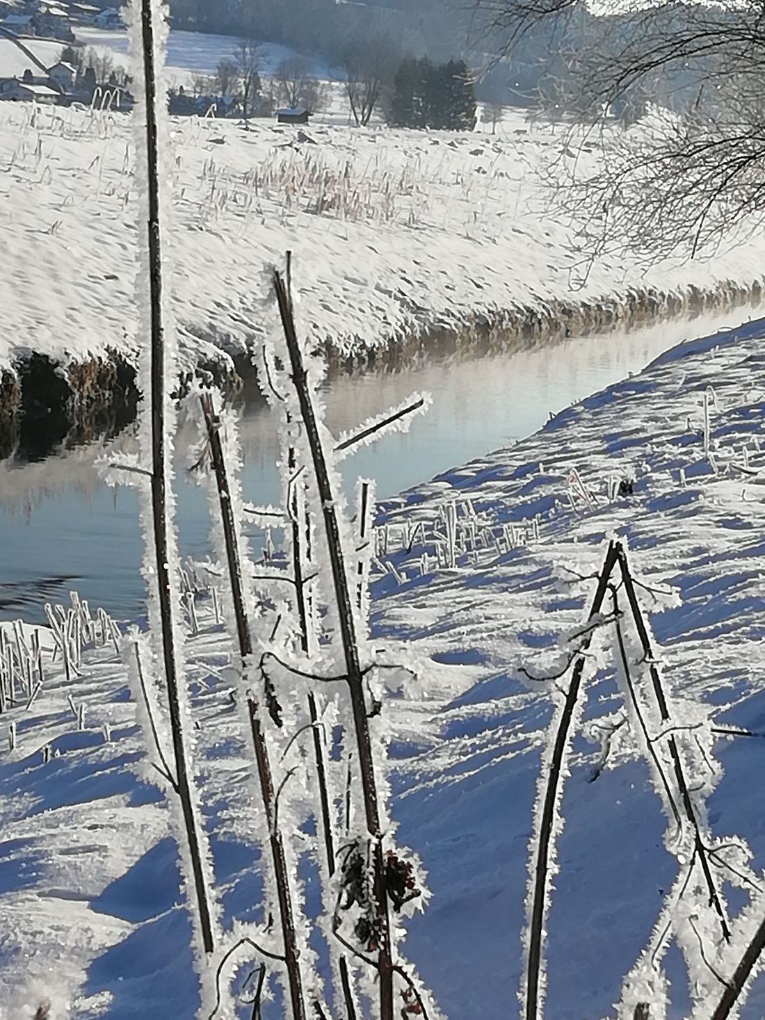 Winter im Bergener Moos