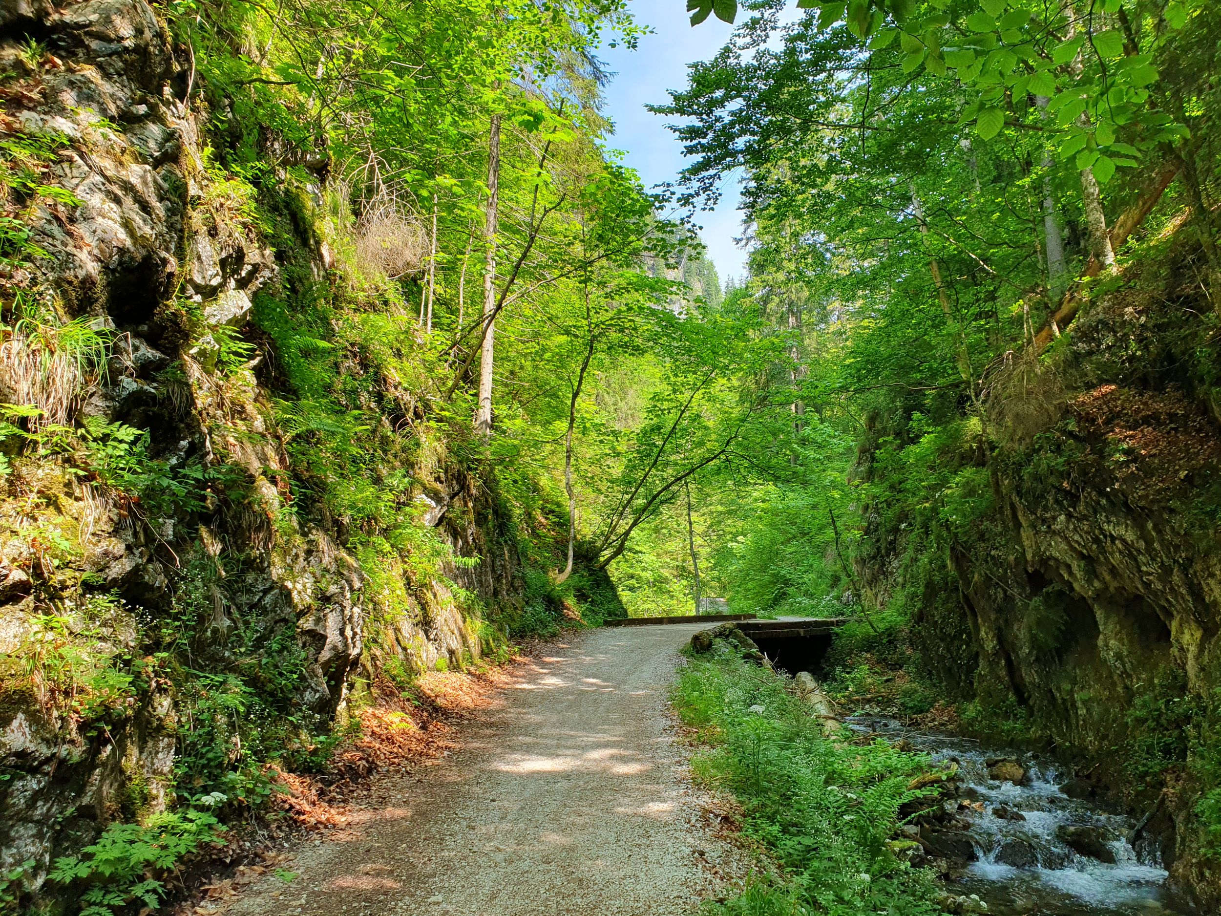 Wappbach Röthelmoos Plafinger