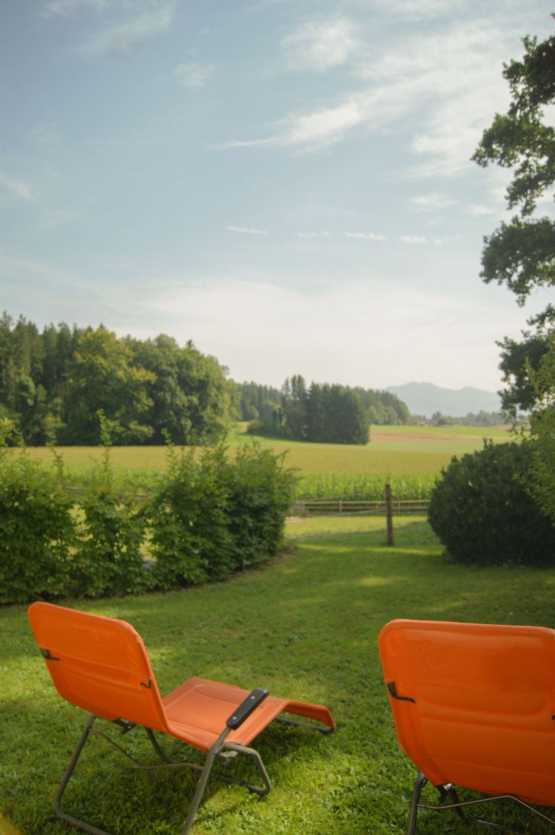 Blick von der Liegewiese
