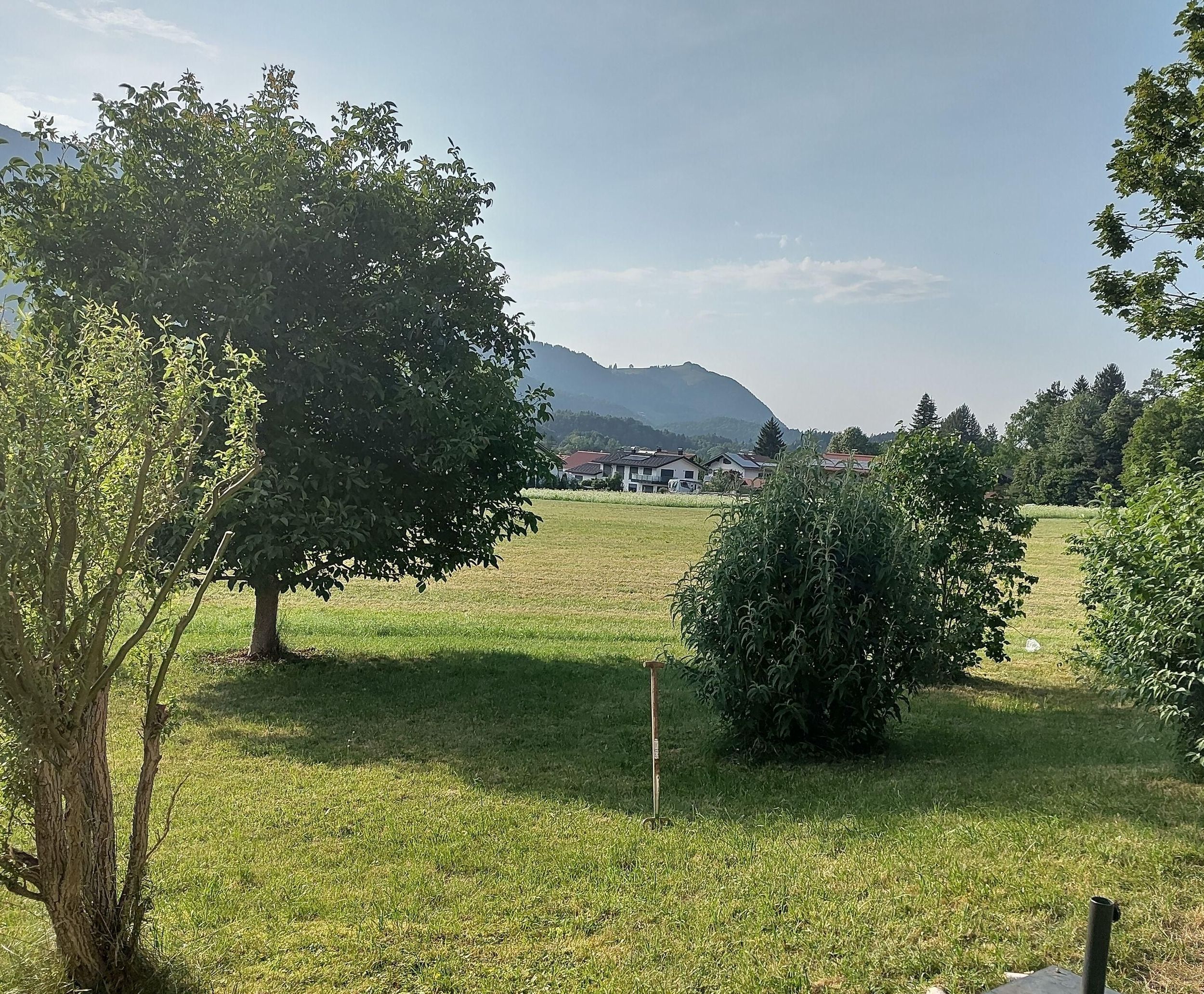 Ausblick