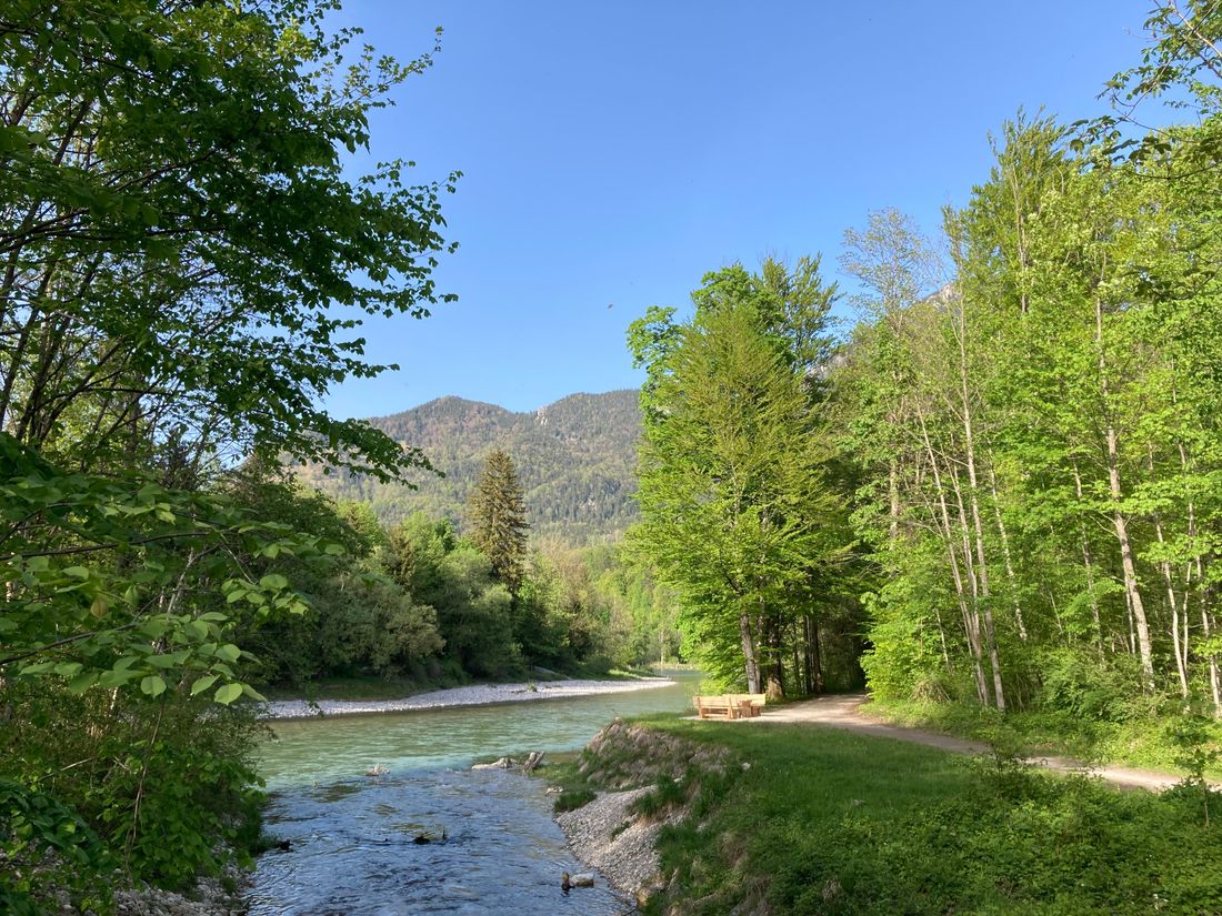Tiroler Ache