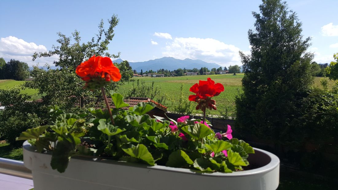 Ausblick vom Balkon
