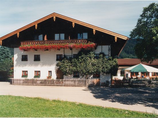 House view in summer