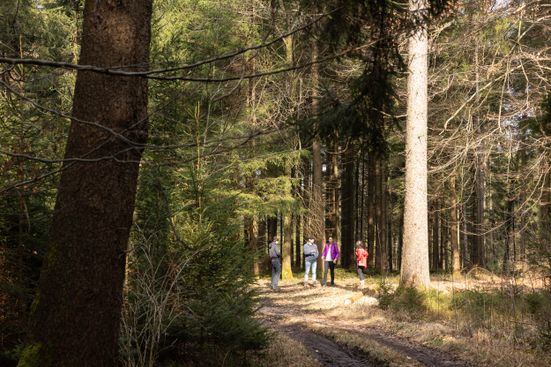 Wanderung für das Gemüt