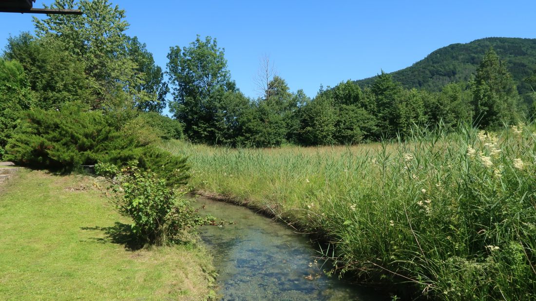 Bach Ostseite vom Haus-Blick auf Zellerberg