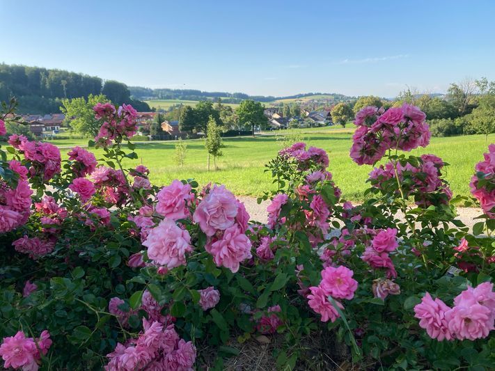 Aussicht auf Waging