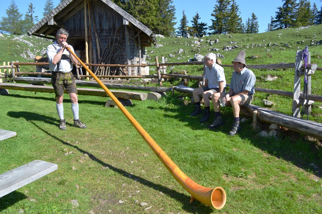 inzell-sommer-panorama-alm-alphornblaeser_1