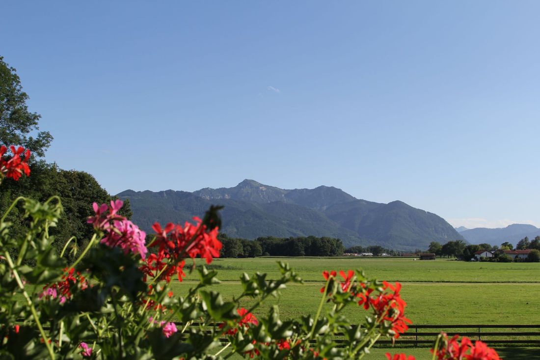 Die Aussicht