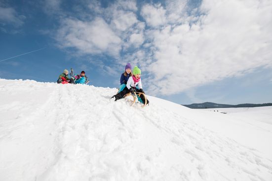 Rodeln auf der Winklmoosalm in Reit im Winkl