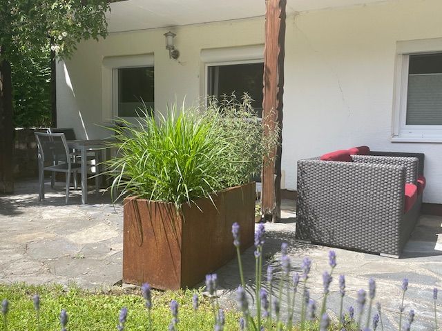Lavendel
