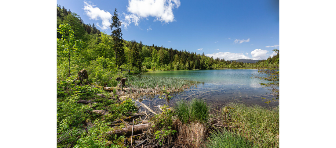 Falkensee