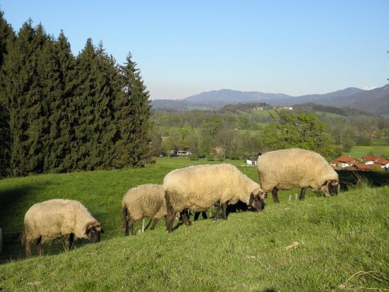 Ausblick