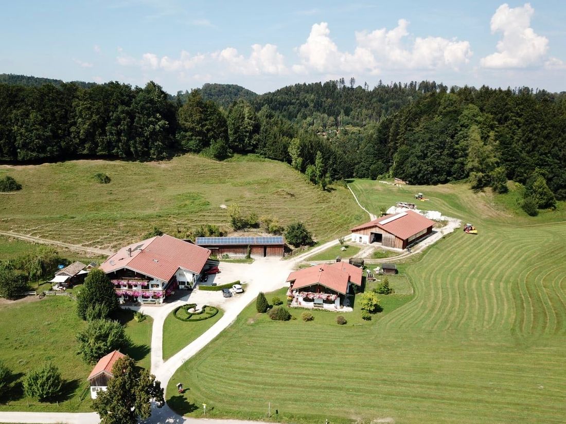 Donauerhof