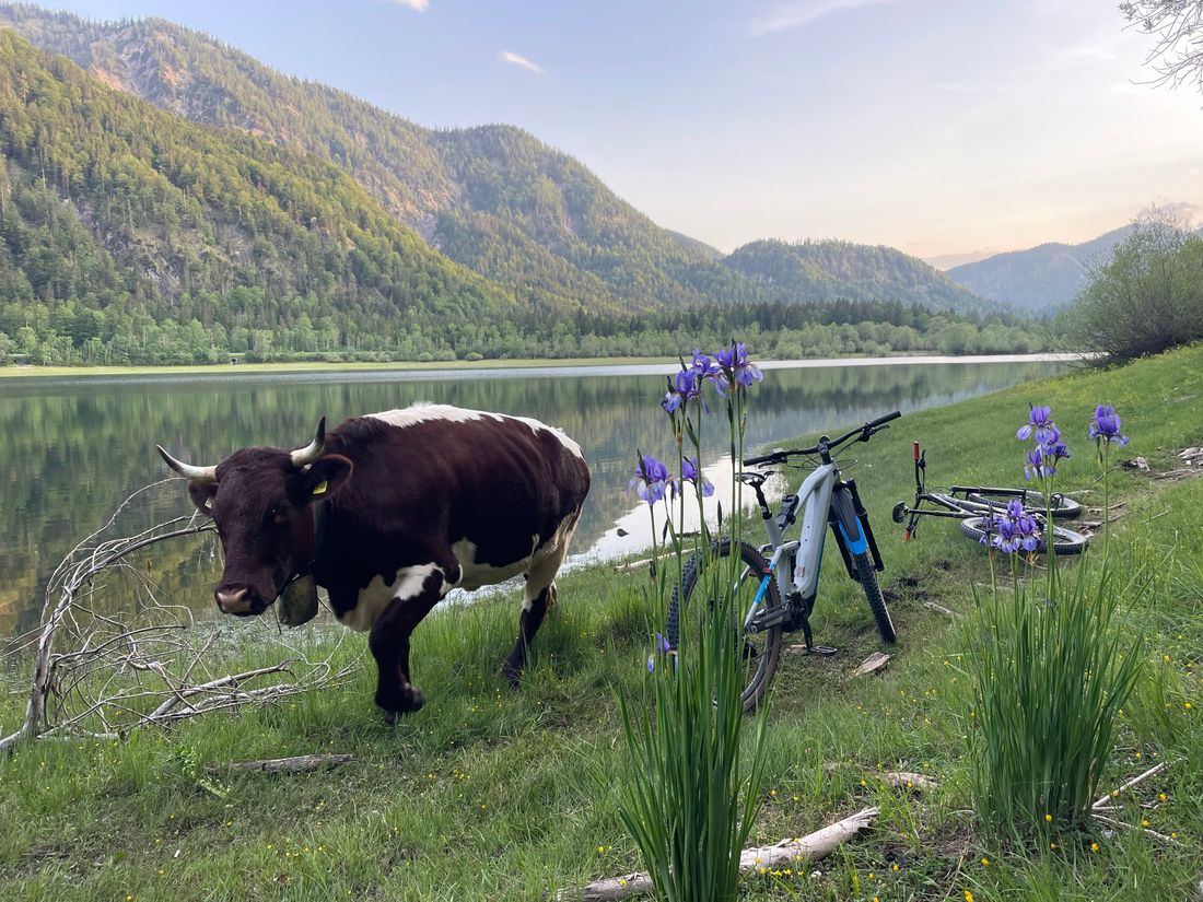 Radtour an den Mittersee in Ruhpolding