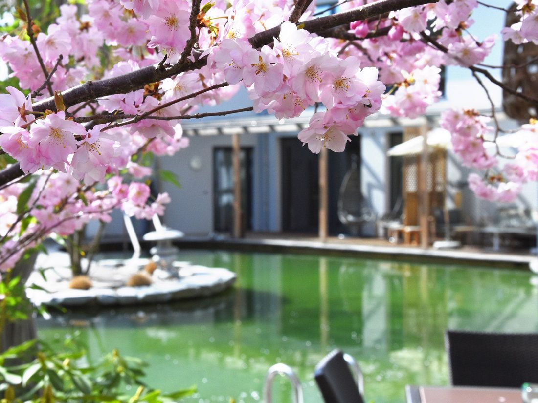 Blütezeit im Wellnessgarten