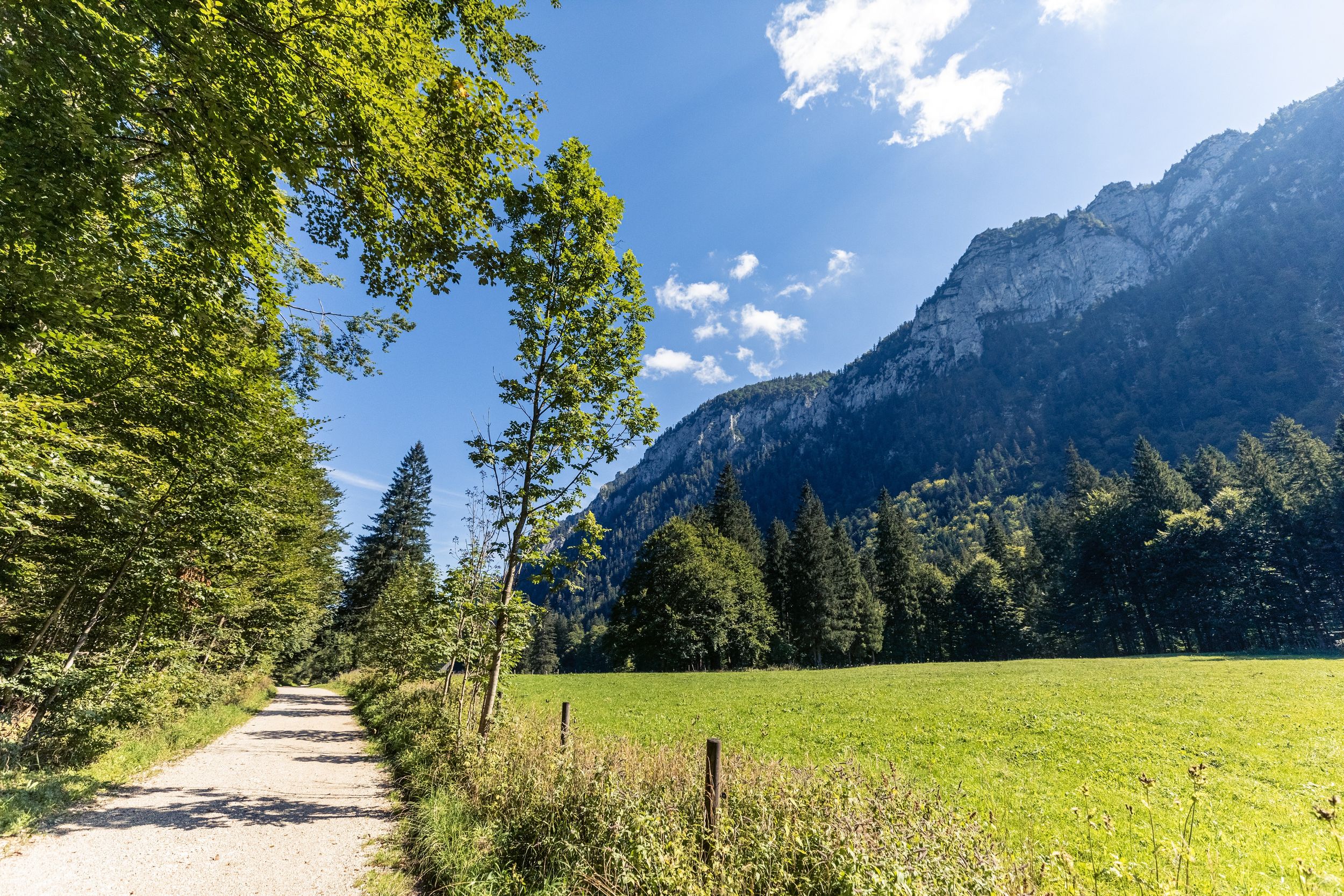 Inzell Sommer Falkenseerunde Wandern Natur Landschaft