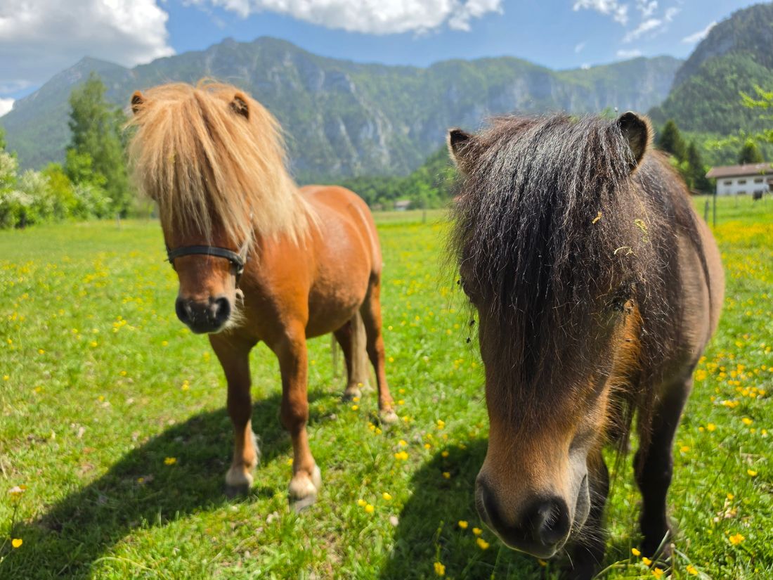 Girgel und Gustel freuen sich auf euch.