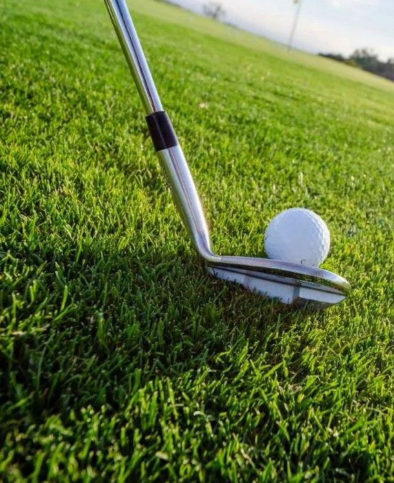 Golfschläger