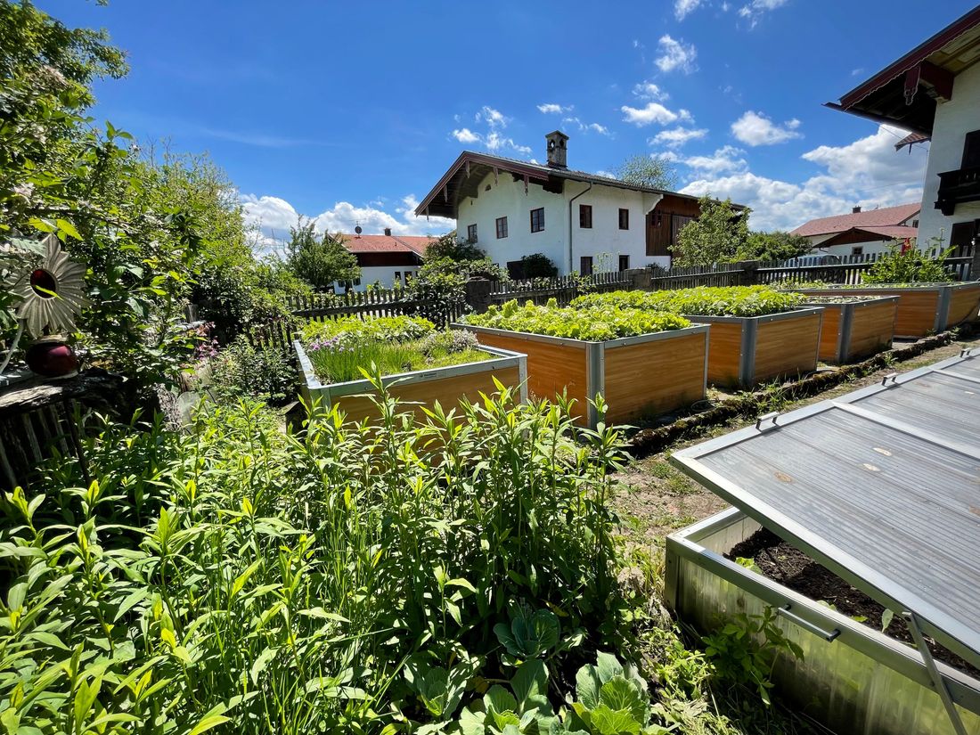 Unser großer Gemüsegarten