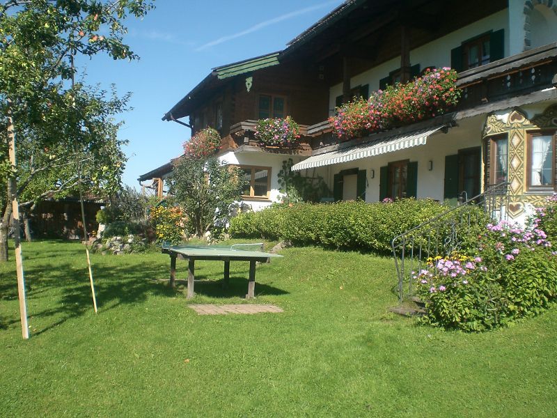 lawn