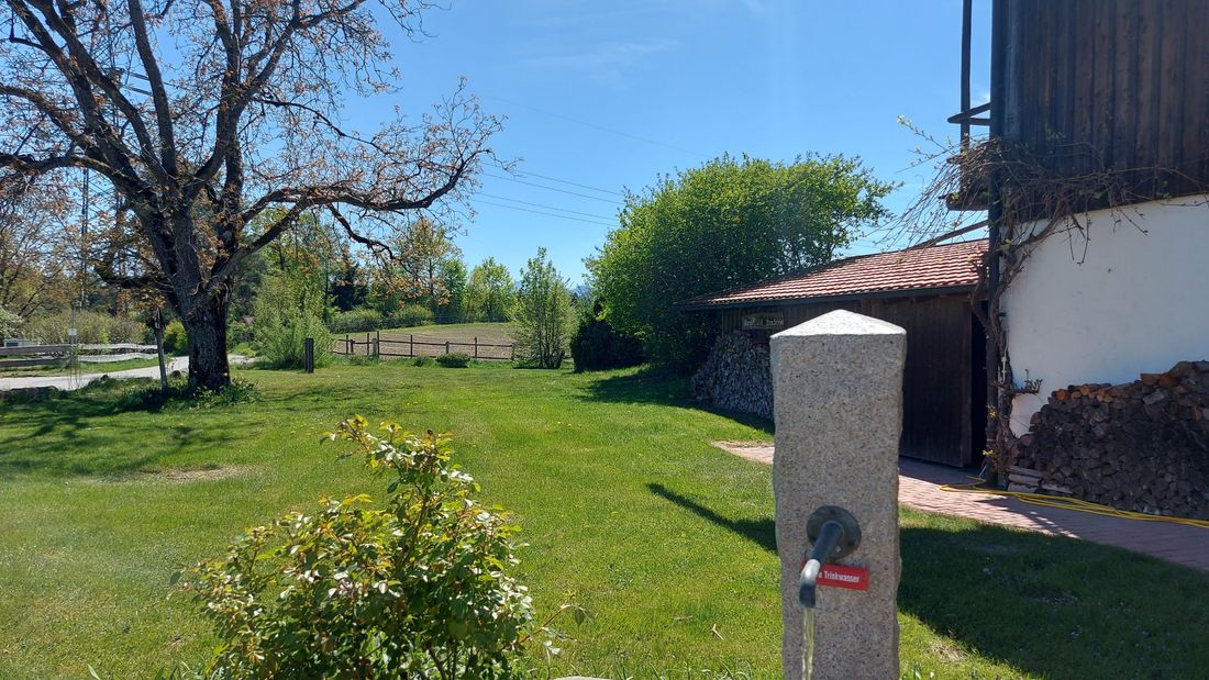 Blick in den Garten