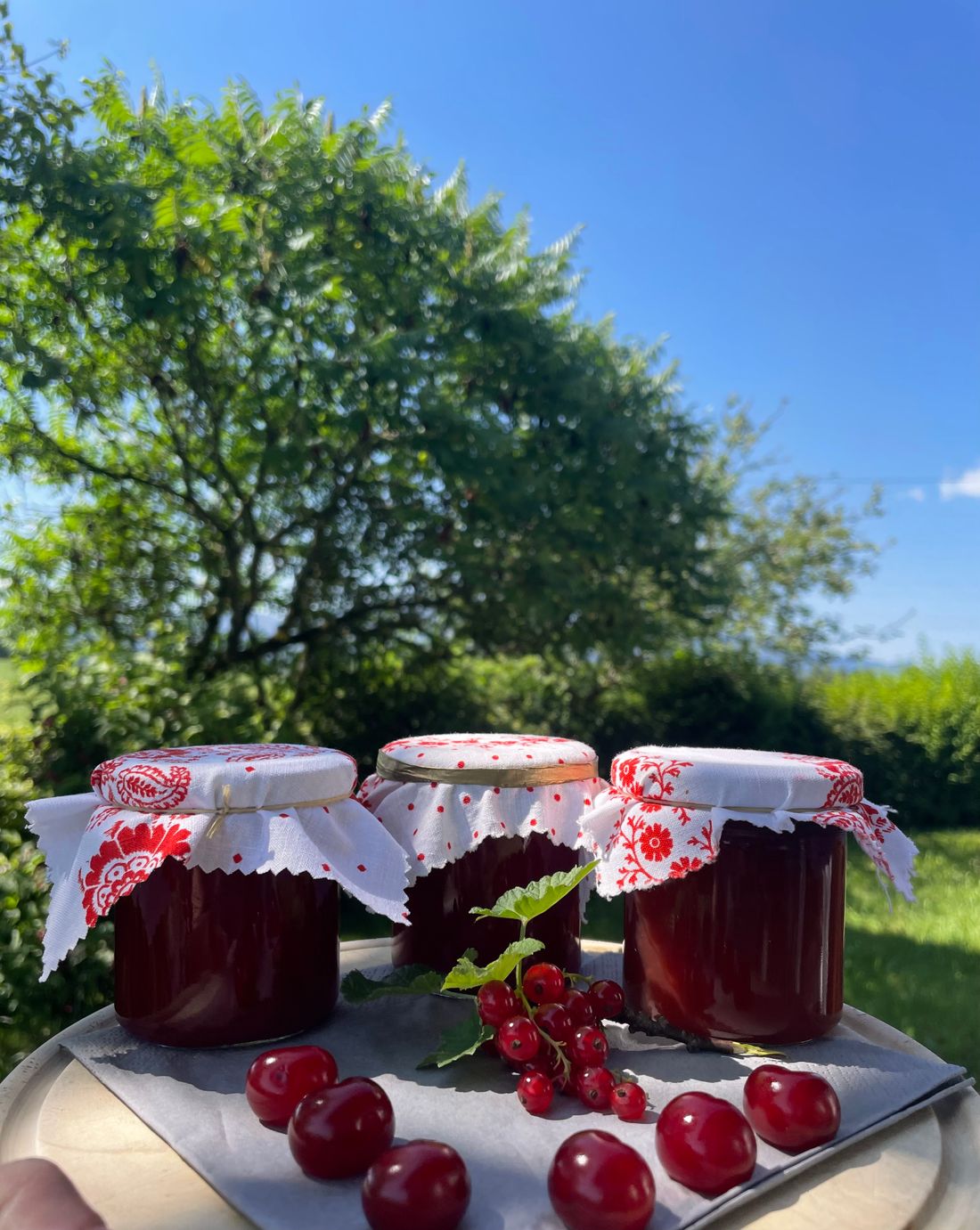 Hausgemachte Marmelade aus eigenem Obst