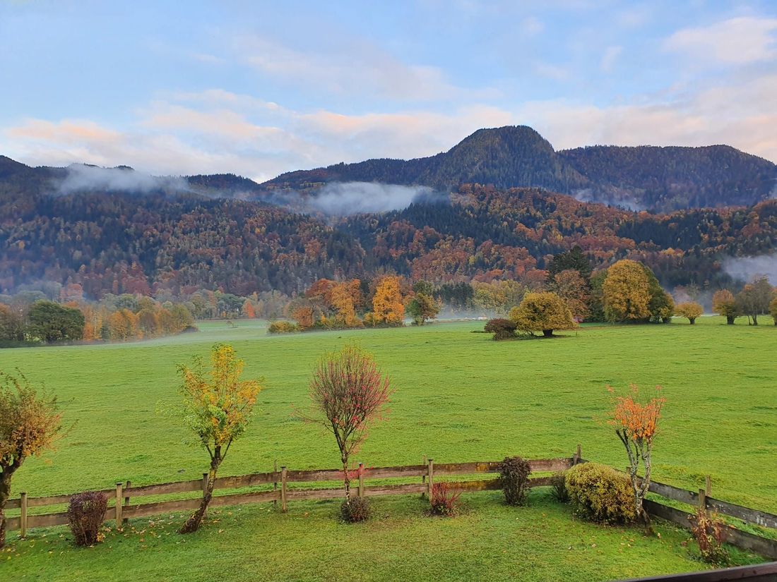 Ausblick