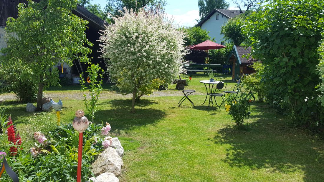 Blick vom Küchenfenster in den Garten