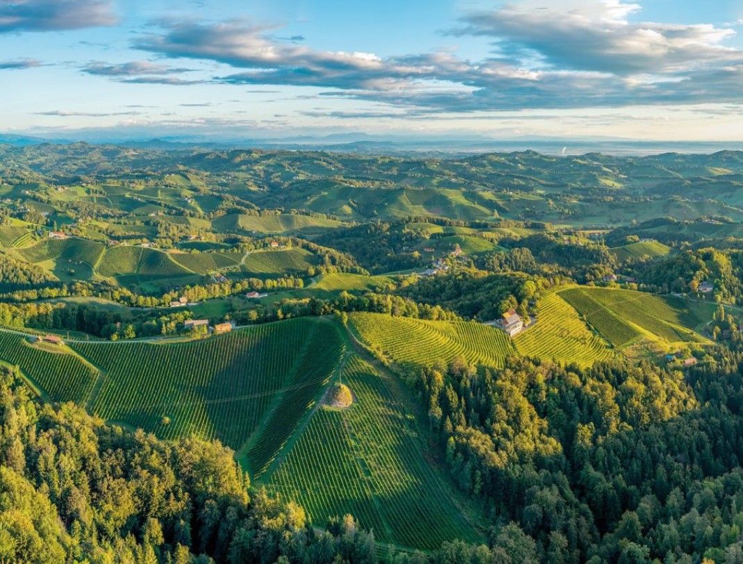 Weingut Sabathi Steiermark