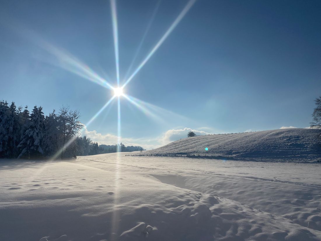 Tinninger See winter