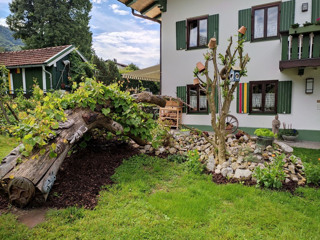 Garten vor dem Haus