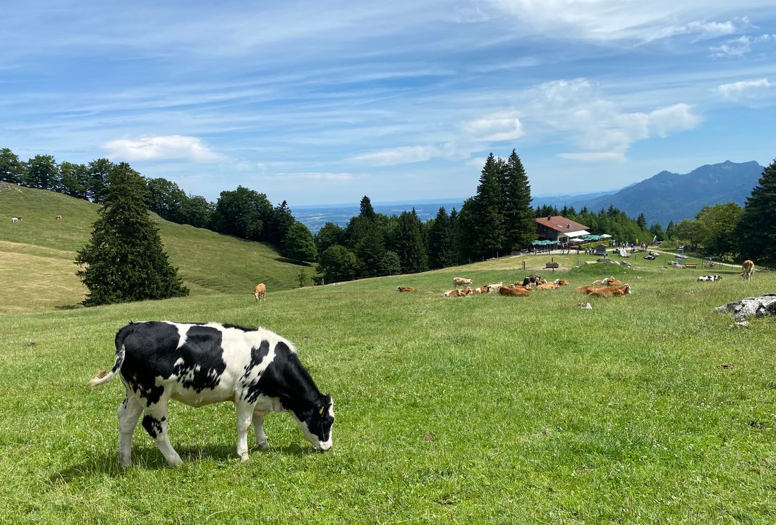 Staffn-Alm