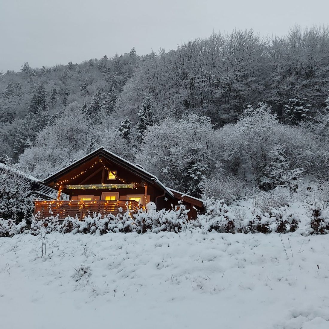 Ferienhaus Winter