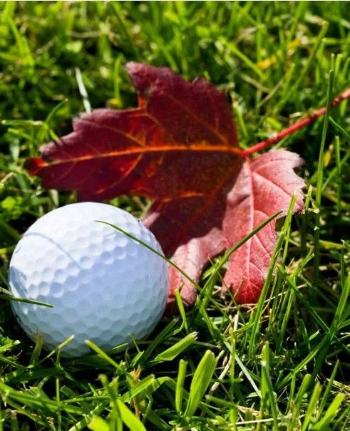 Golfball Herbst