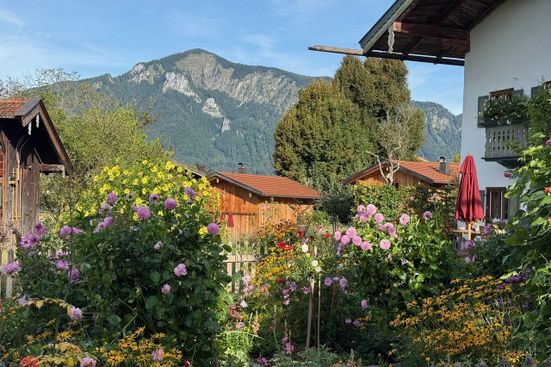 Blumenbild BEARBEITET