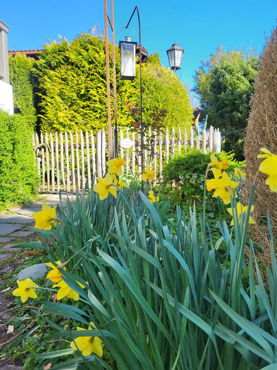 Frühling @graublau