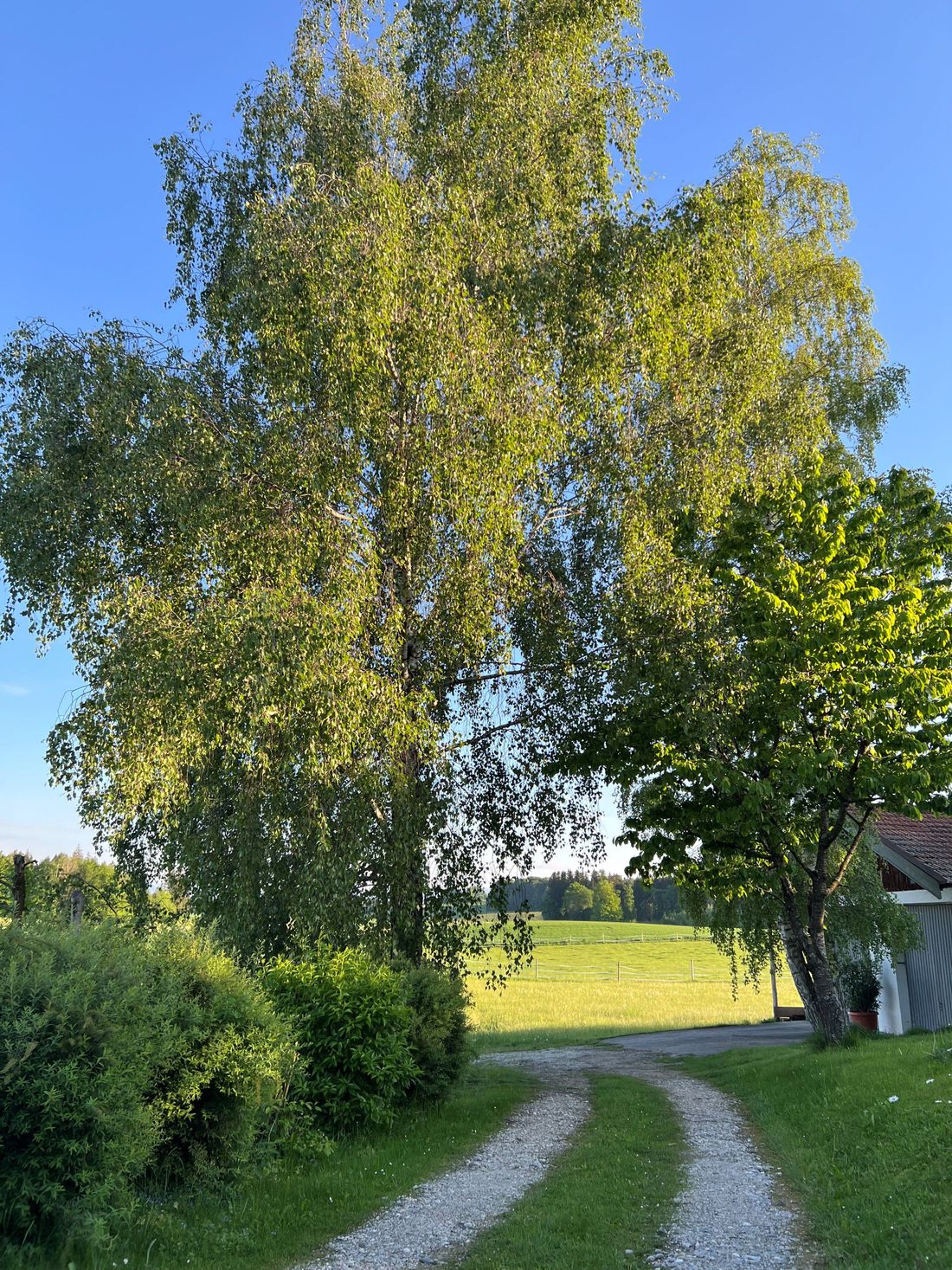 Grundstück