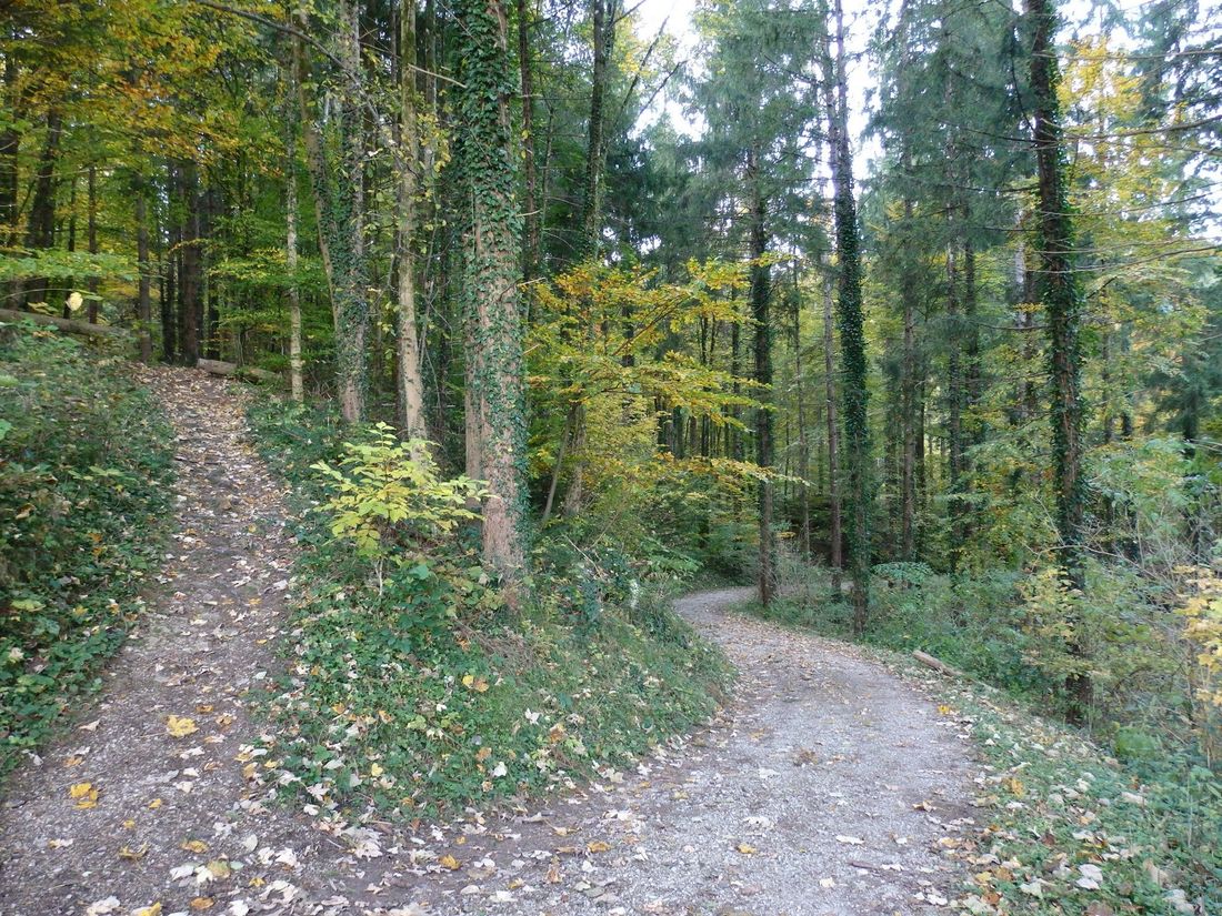 Wanderweg