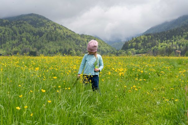 Mädchen in einer blühenden Blumenwiese in Reit im Winkl