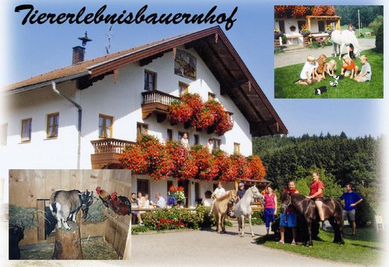 bertl-hof_hausansicht-jpg-original_1_1_2_1_1