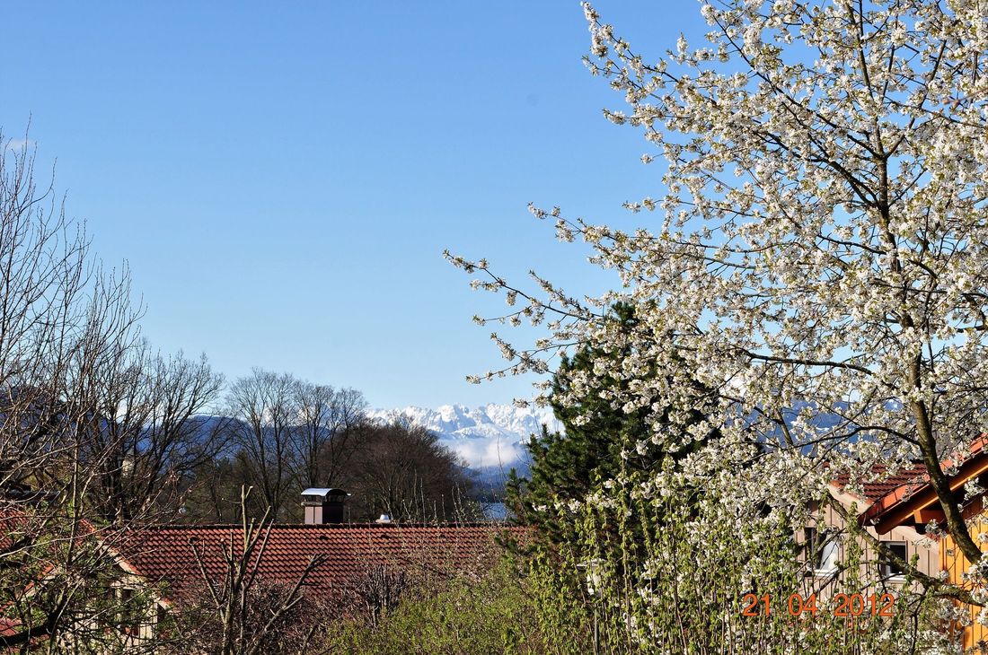 Schöne Landschaft