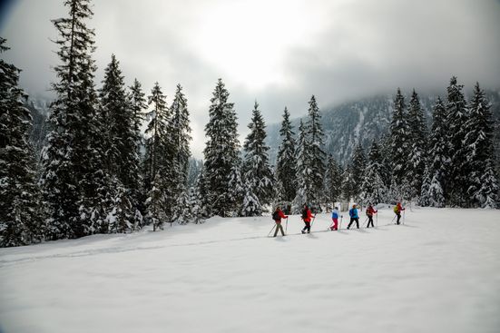 Durch das Winterwunderland