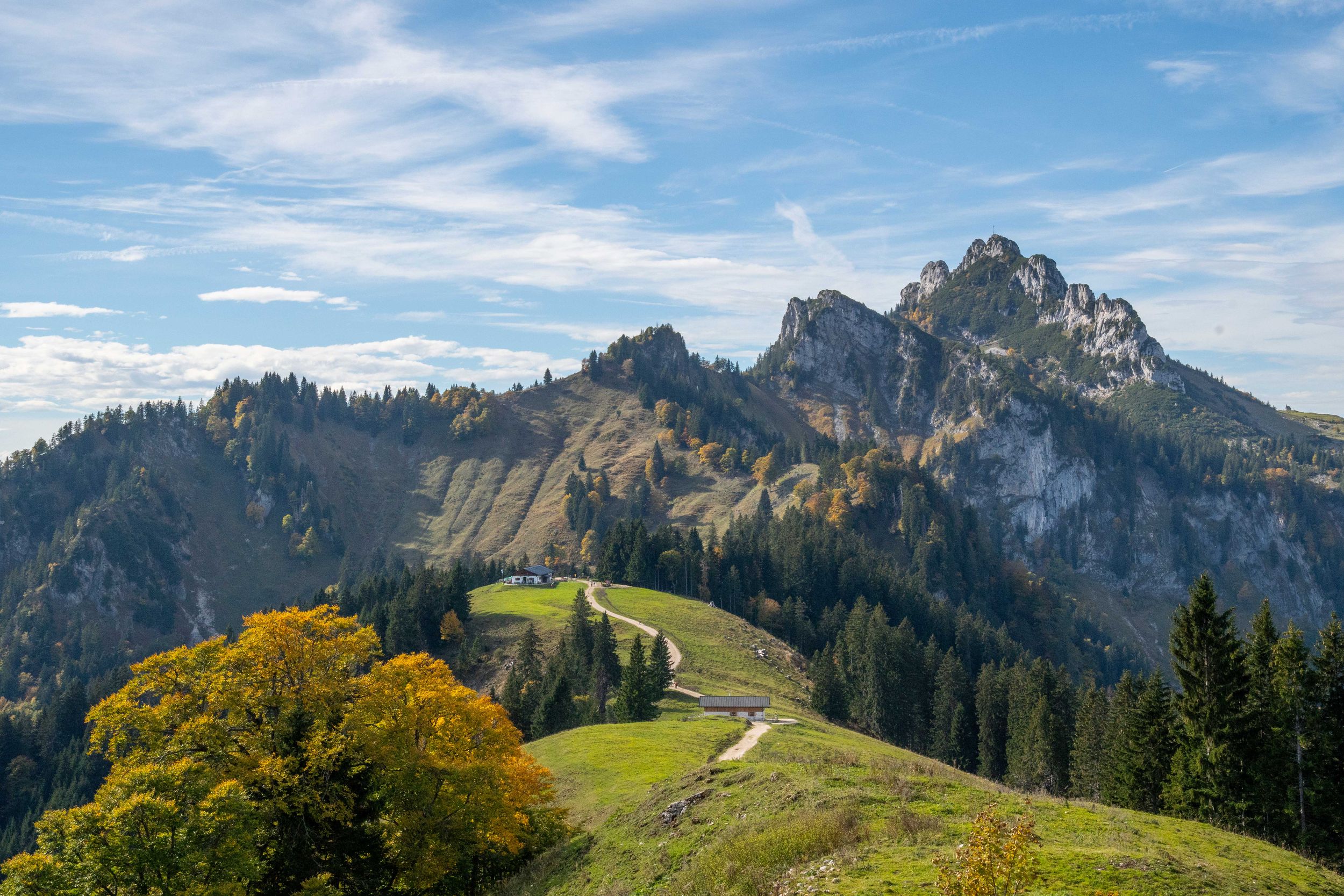 Piesenhausener Hochalm bei Grassau